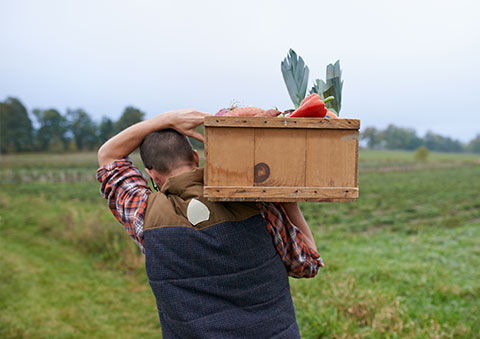 6 Ways You Can Eat Better
