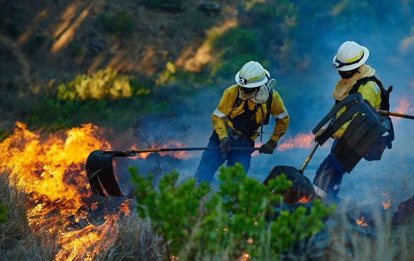 Huge Wildfire: Do You Hear the Trees  Falling?